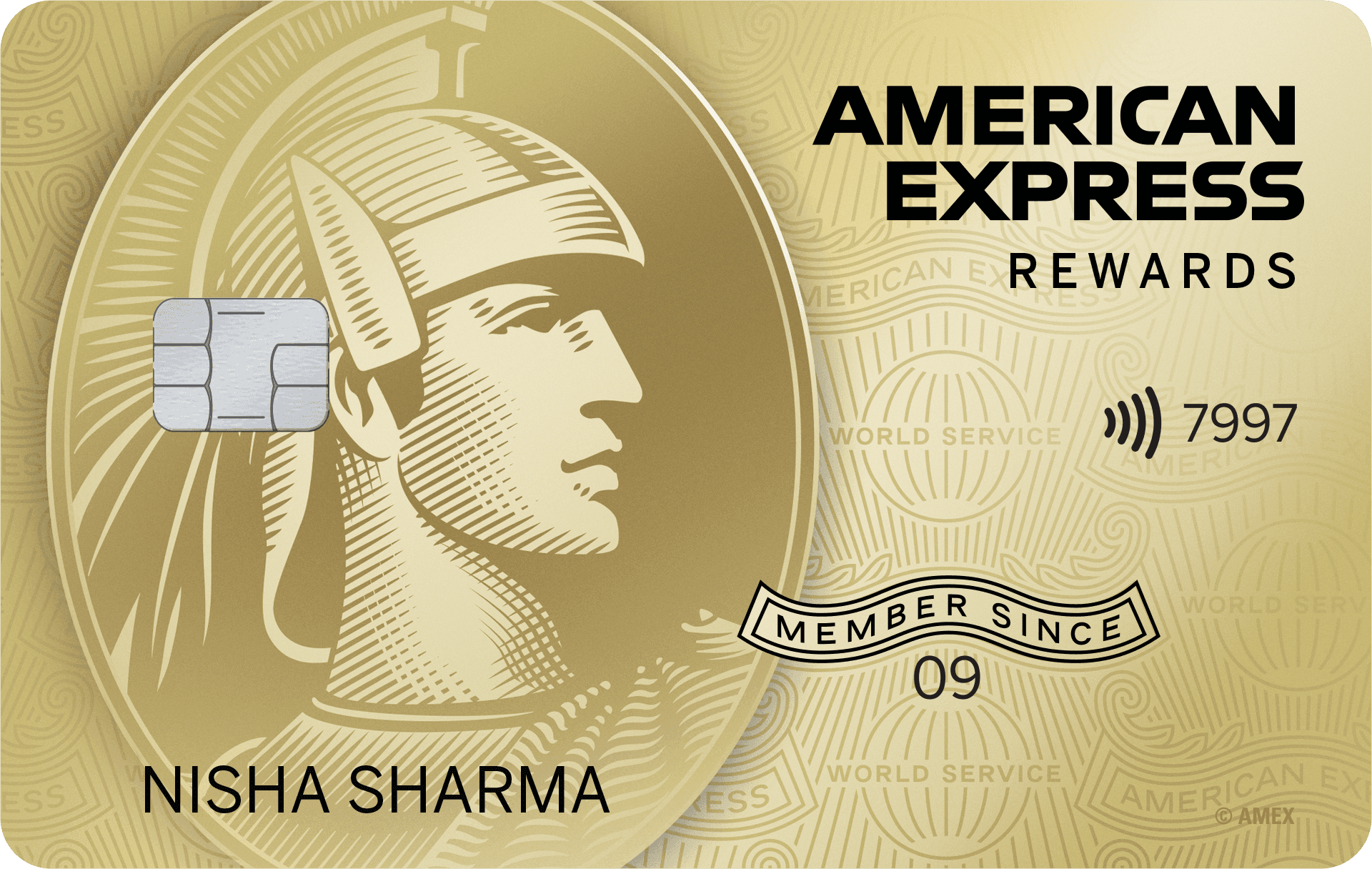 Membership Rewards Credit Card credit card